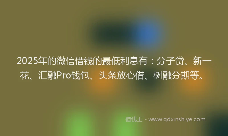 2025年的微信借钱的最低利息有：分子贷、新一花、汇融Pro钱包、头条放心借、树融分期等。
