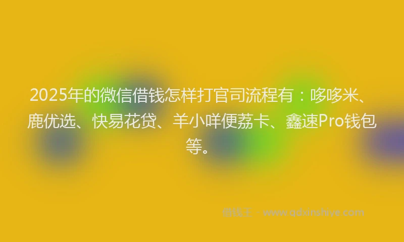 2025年的微信借钱怎样打官司流程有：哆哆米、鹿优选、快易花贷、羊小咩便荔卡、鑫速Pro钱包等。