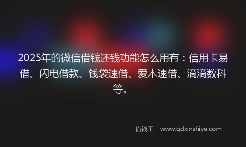2025年的微信借钱还钱功能怎么用有：信用卡易借、闪电借款、钱袋速借、爱木速借、滴滴数科等。