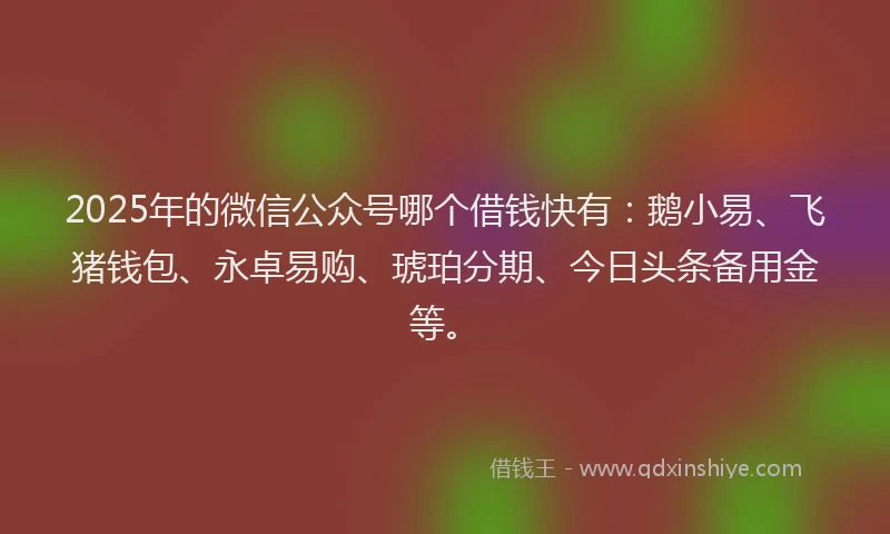 2025年的微信公众号哪个借钱快有：鹅小易、飞猪钱包、永卓易购、琥珀分期、今日头条备用金等。