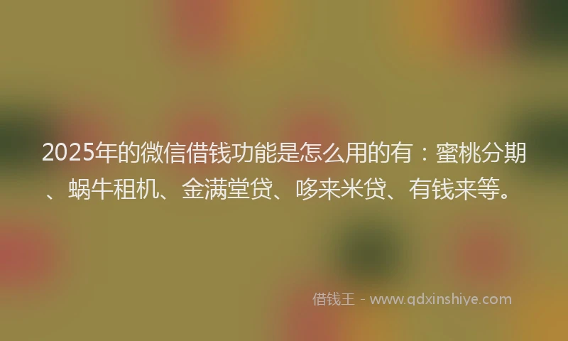 2025年的微信借钱功能是怎么用的有：蜜桃分期、蜗牛租机、金满堂贷、哆来米贷、有钱来等。