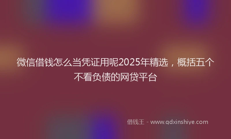 微信借钱怎么当凭证用呢2025年精选，概括五个不看负债的网贷平台