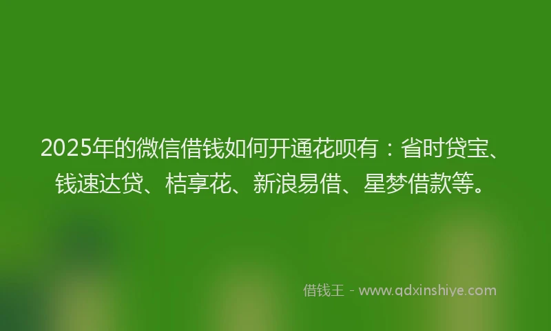 2025年的微信借钱如何开通花呗有：省时贷宝、钱速达贷、桔享花、新浪易借、星梦借款等。