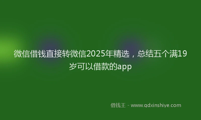 微信借钱直接转微信2025年精选，总结五个满19岁可以借款的app