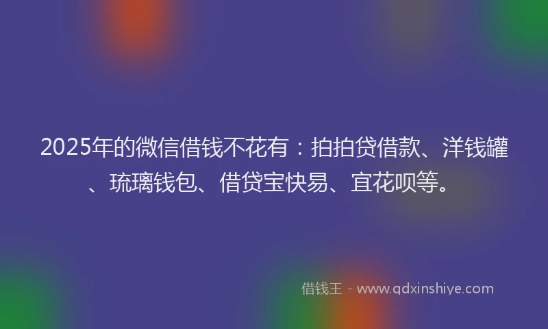 2025年的微信借钱不花有：拍拍贷借款、洋钱罐、琉璃钱包、借贷宝快易、宜花呗等。
