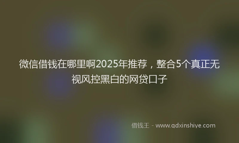 微信借钱在哪里啊2025年推荐，整合5个真正无视风控黑白的网贷口子