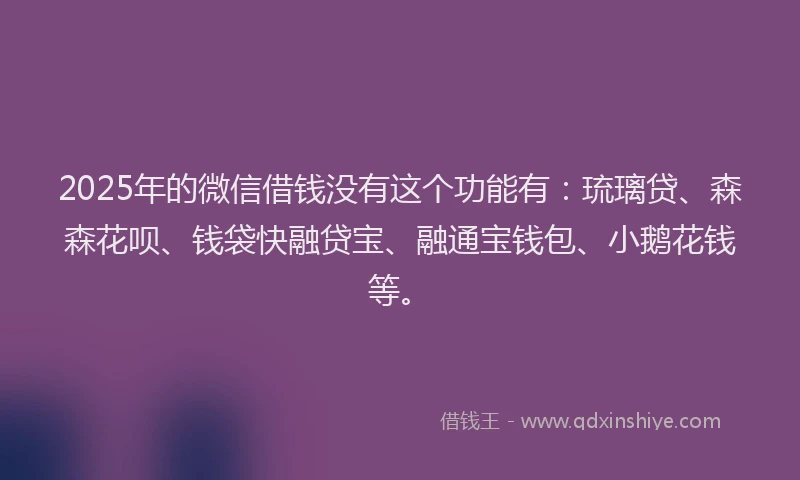2025年的微信借钱没有这个功能有：琉璃贷、森森花呗、钱袋快融贷宝、融通宝钱包、小鹅花钱等。