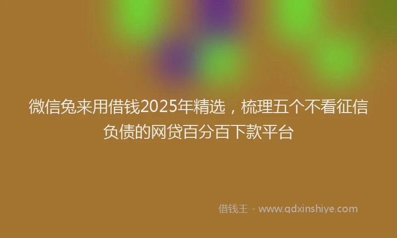 微信兔来用借钱2025年精选，梳理五个不看征信负债的网贷百分百下款平台