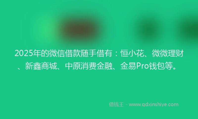 2025年的微信借款随手借有：恒小花、微微理财、新鑫商城、中原消费金融、金易Pro钱包等。