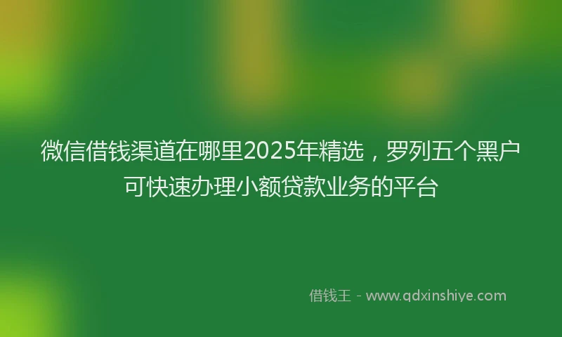 微信借钱渠道在哪里2025年精选，罗列五个黑户可快速办理小额贷款业务的平台