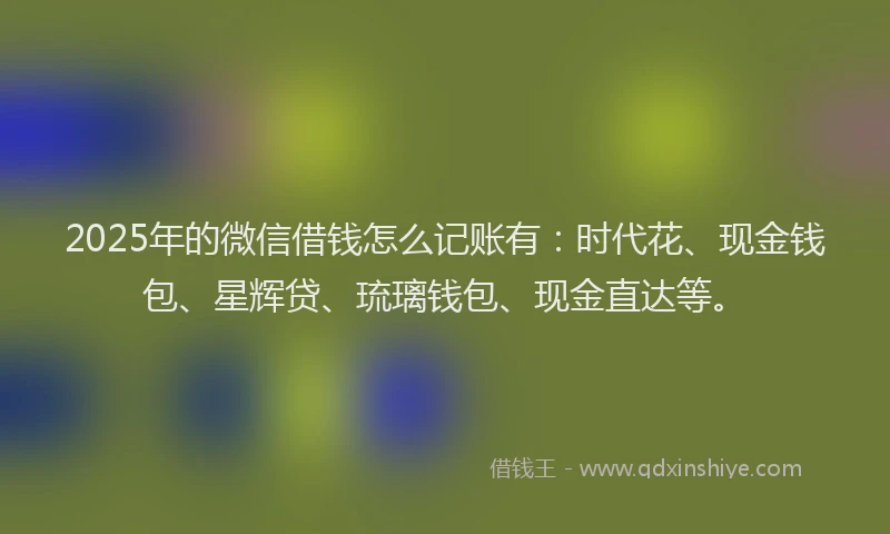 2025年的微信借钱怎么记账有：时代花、现金钱包、星辉贷、琉璃钱包、现金直达等。
