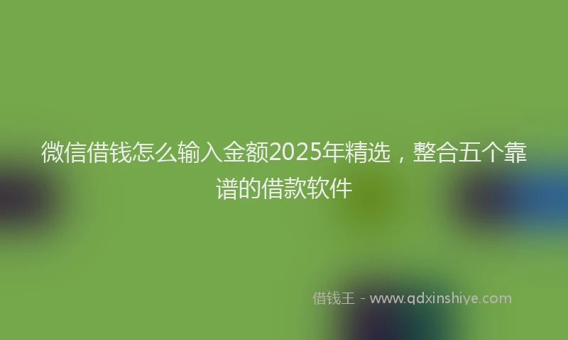 微信借钱怎么输入金额2025年精选，整合五个靠谱的借款软件