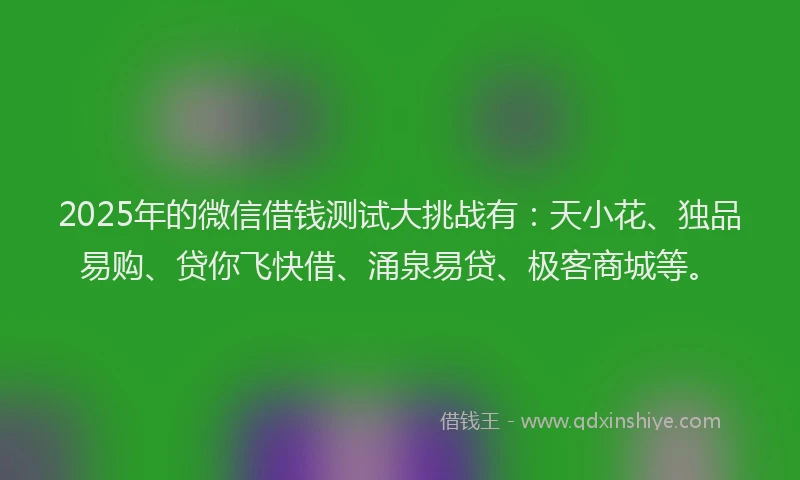 2025年的微信借钱测试大挑战有：天小花、独品易购、贷你飞快借、涌泉易贷、极客商城等。