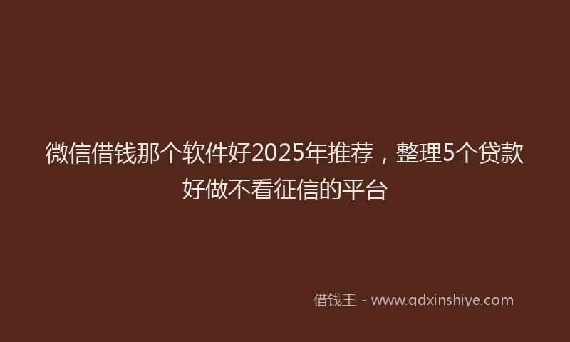 微信借钱那个软件好2025年推荐，整理5个贷款好做不看征信的平台