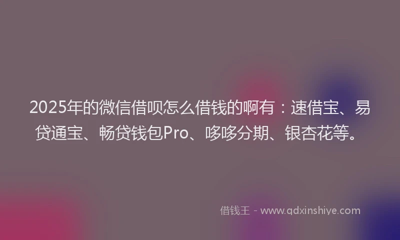2025年的微信借呗怎么借钱的啊有：速借宝、易贷通宝、畅贷钱包Pro、哆哆分期、银杏花等。