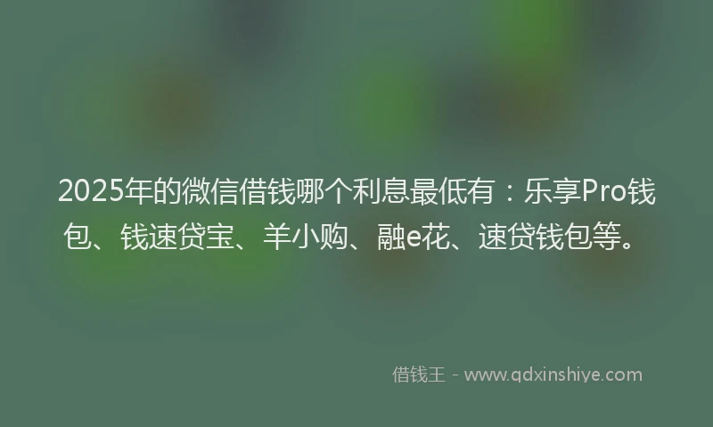2025年的微信借钱哪个利息最低有：乐享Pro钱包、钱速贷宝、羊小购、融e花、速贷钱包等。