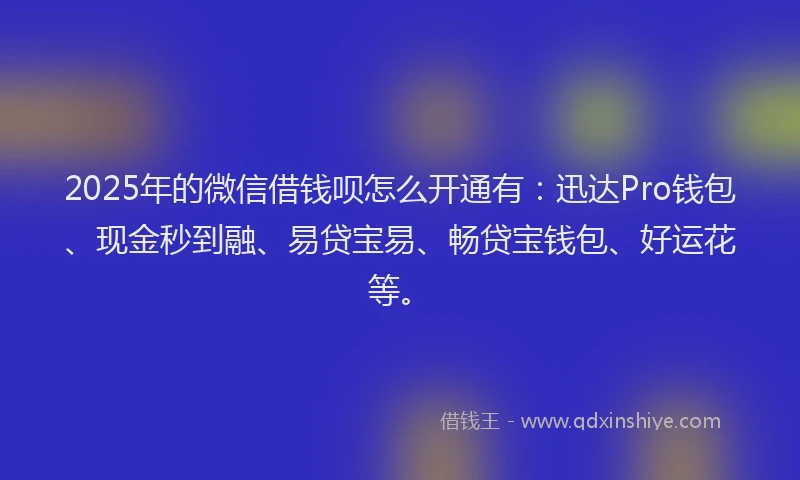2025年的微信借钱呗怎么开通有：迅达Pro钱包、现金秒到融、易贷宝易、畅贷宝钱包、好运花等。
