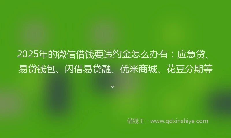 2025年的微信借钱要违约金怎么办有：应急贷、易贷钱包、闪借易贷融、优米商城、花豆分期等。