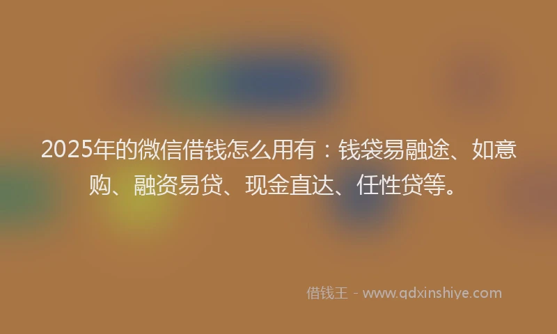 2025年的微信借钱怎么用有：钱袋易融途、如意购、融资易贷、现金直达、任性贷等。