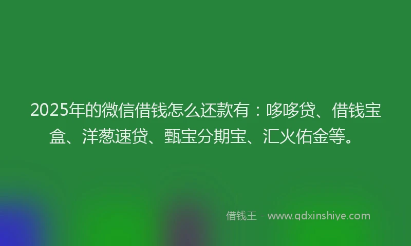 2025年的微信借钱怎么还款有：哆哆贷、借钱宝盒、洋葱速贷、甄宝分期宝、汇火佑金等。