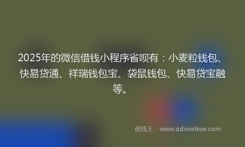 2025年的微信借钱小程序省呗有：小麦粒钱包、快易贷通、祥瑞钱包宝、袋鼠钱包、快易贷宝融等。
