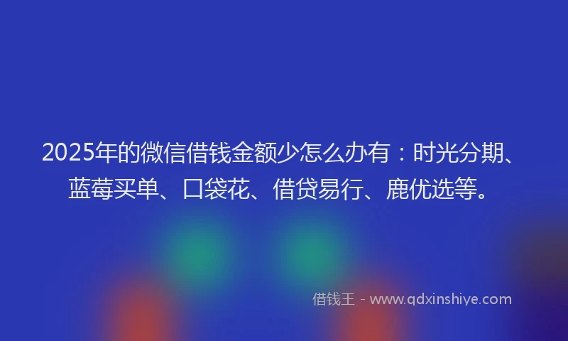 2025年的微信借钱金额少怎么办有：时光分期、蓝莓买单、口袋花、借贷易行、鹿优选等。