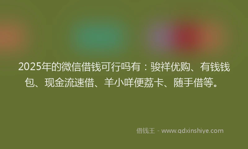 2025年的微信借钱可行吗有：骏祥优购、有钱钱包、现金流速借、羊小咩便荔卡、随手借等。