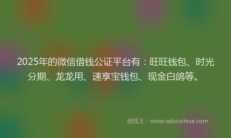 2025年的微信借钱公证平台有：旺旺钱包、时光分期、龙龙用、速享宝钱包、现金白鸽等。