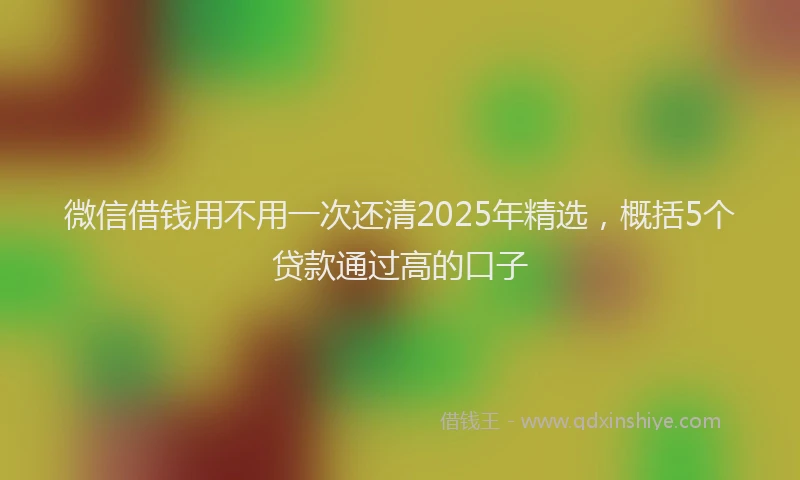 微信借钱用不用一次还清2025年精选，概括5个贷款通过高的口子