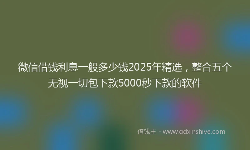 微信借钱利息一般多少钱2025年精选，整合五个无视一切包下款5000秒下款的软件
