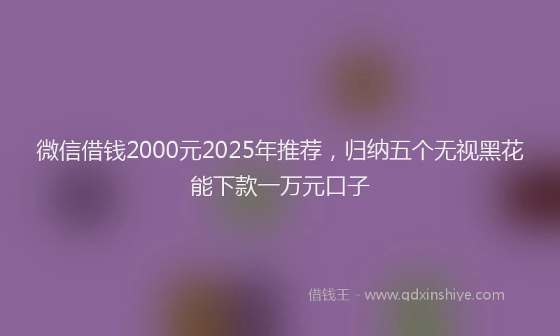 微信借钱2000元2025年推荐，归纳五个无视黑花能下款一万元口子