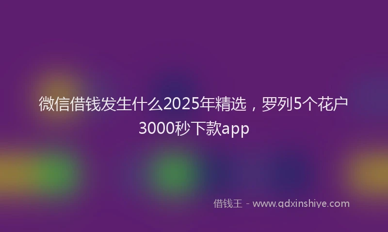 微信借钱发生什么2025年精选，罗列5个花户3000秒下款app