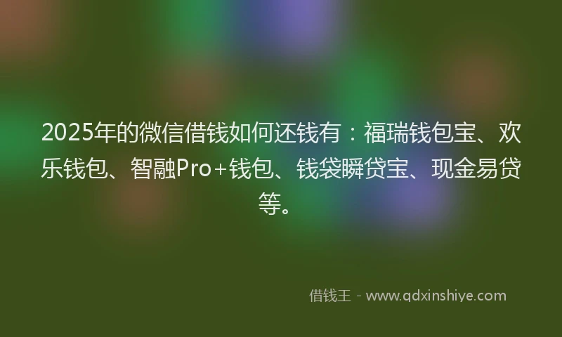 2025年的微信借钱如何还钱有：福瑞钱包宝、欢乐钱包、智融Pro+钱包、钱袋瞬贷宝、现金易贷等。