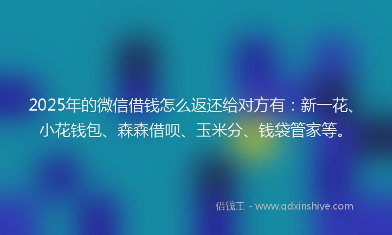 2025年的微信借钱怎么返还给对方有：新一花、小花钱包、森森借呗、玉米分、钱袋管家等。