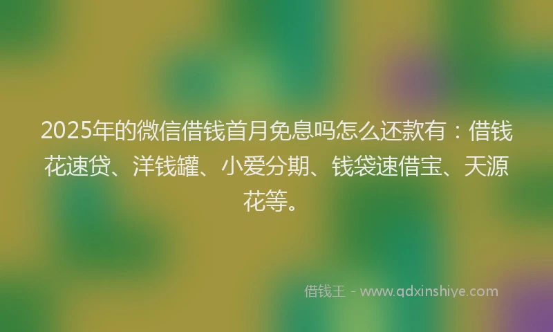 2025年的微信借钱首月免息吗怎么还款有：借钱花速贷、洋钱罐、小爱分期、钱袋速借宝、天源花等。