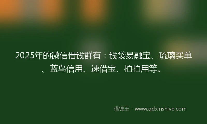 2025年的微信借钱群有：钱袋易融宝、琉璃买单、蓝鸟信用、速借宝、拍拍用等。