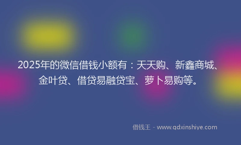 2025年的微信借钱小额有：天天购、新鑫商城、金叶贷、借贷易融贷宝、萝卜易购等。