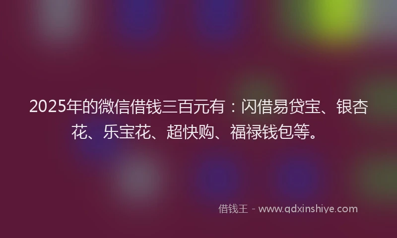 2025年的微信借钱三百元有：闪借易贷宝、银杏花、乐宝花、超快购、福禄钱包等。