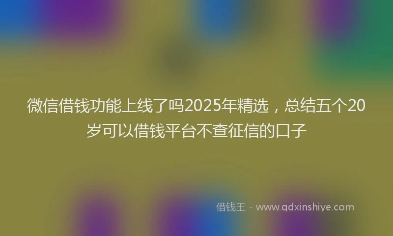 微信借钱功能上线了吗2025年精选，总结五个20岁可以借钱平台不查征信的口子