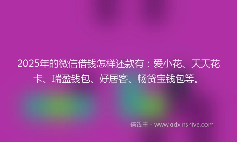 2025年的微信借钱怎样还款有：爱小花、天天花卡、瑞盈钱包、好居客、畅贷宝钱包等。