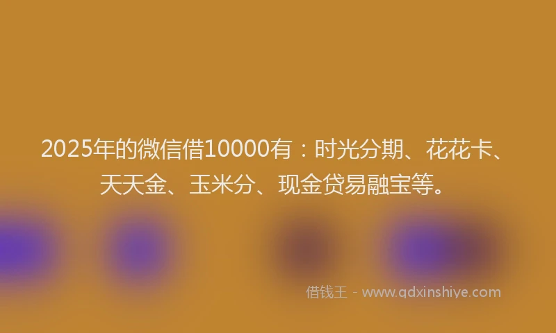 2025年的微信借10000有：时光分期、花花卡、天天金、玉米分、现金贷易融宝等。