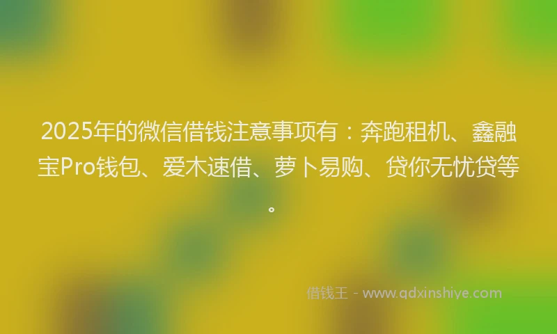 2025年的微信借钱注意事项有：奔跑租机、鑫融宝Pro钱包、爱木速借、萝卜易购、贷你无忧贷等。