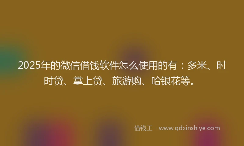 2025年的微信借钱软件怎么使用的有：多米、时时贷、掌上贷、旅游购、哈银花等。