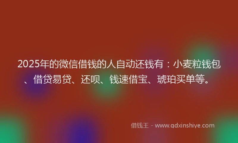 2025年的微信借钱的人自动还钱有：小麦粒钱包、借贷易贷、还呗、钱速借宝、琥珀买单等。