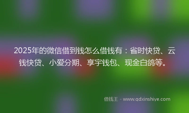 2025年的微信借到钱怎么借钱有：省时快贷、云钱快贷、小爱分期、享宇钱包、现金白鸽等。