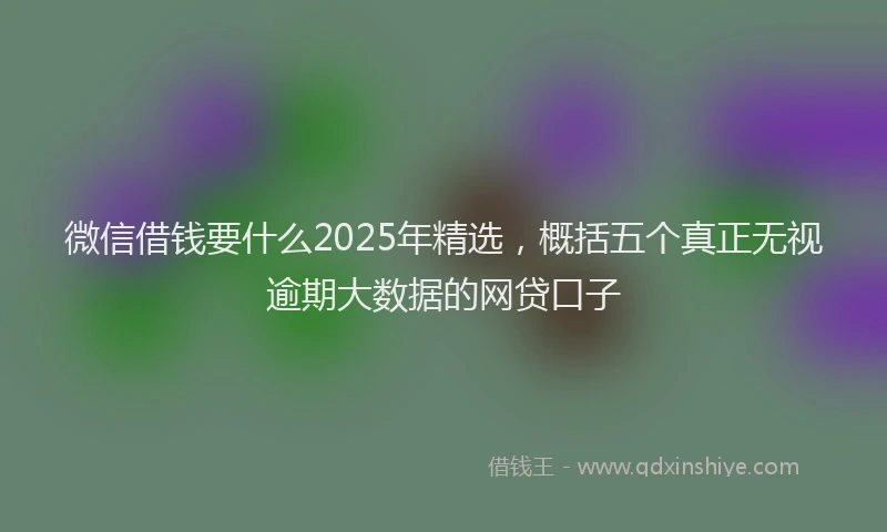 微信借钱要什么2025年精选，概括五个真正无视逾期大数据的网贷口子