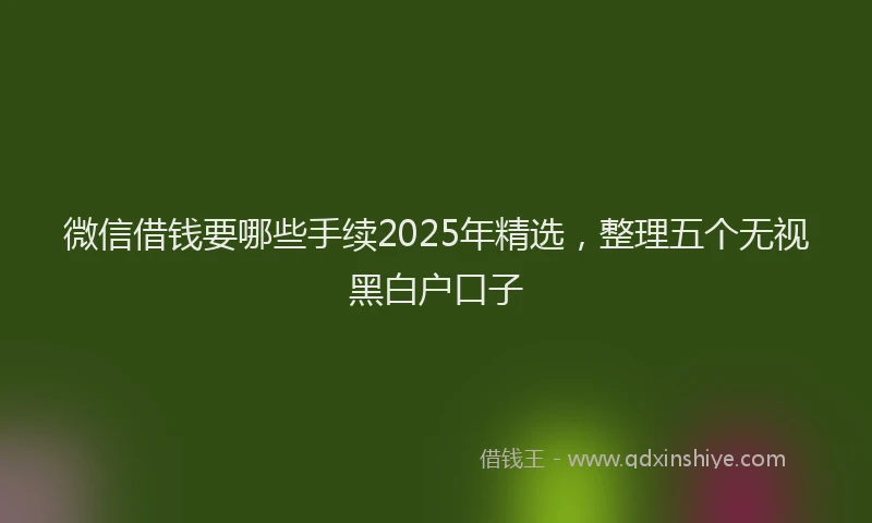 微信借钱要哪些手续2025年精选，整理五个无视黑白户口子