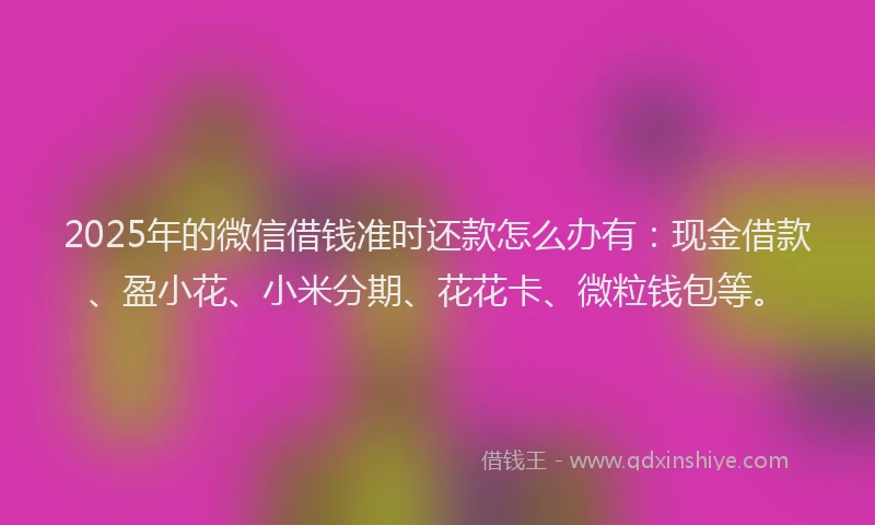 2025年的微信借钱准时还款怎么办有：现金借款、盈小花、小米分期、花花卡、微粒钱包等。