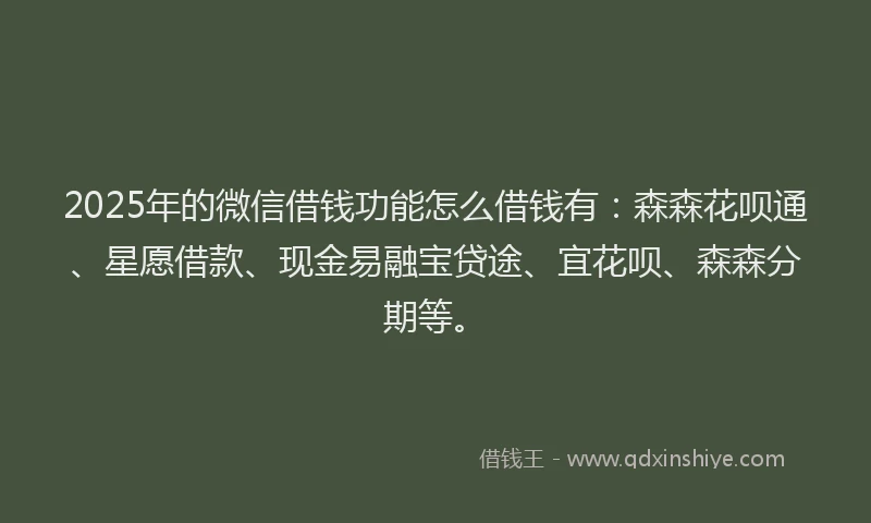 2025年的微信借钱功能怎么借钱有：森森花呗通、星愿借款、现金易融宝贷途、宜花呗、森森分期等。