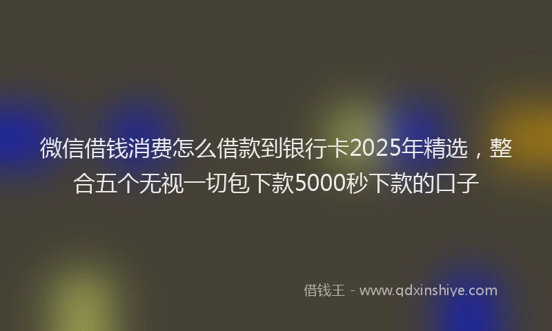 微信借钱消费怎么借款到银行卡2025年精选，整合五个无视一切包下款5000秒下款的口子